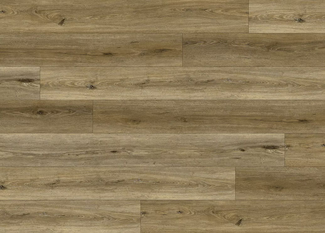 6c698a_a293fb6d071c49569d90b8487c8e26b1~mv2