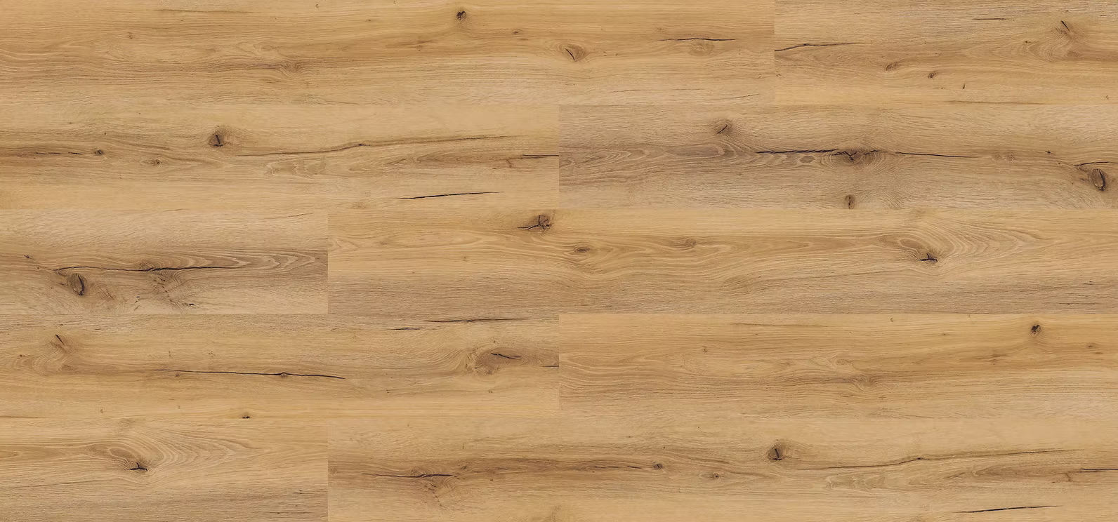 6c698a_ca9789066c83475799334b9d66480aaa~mv2